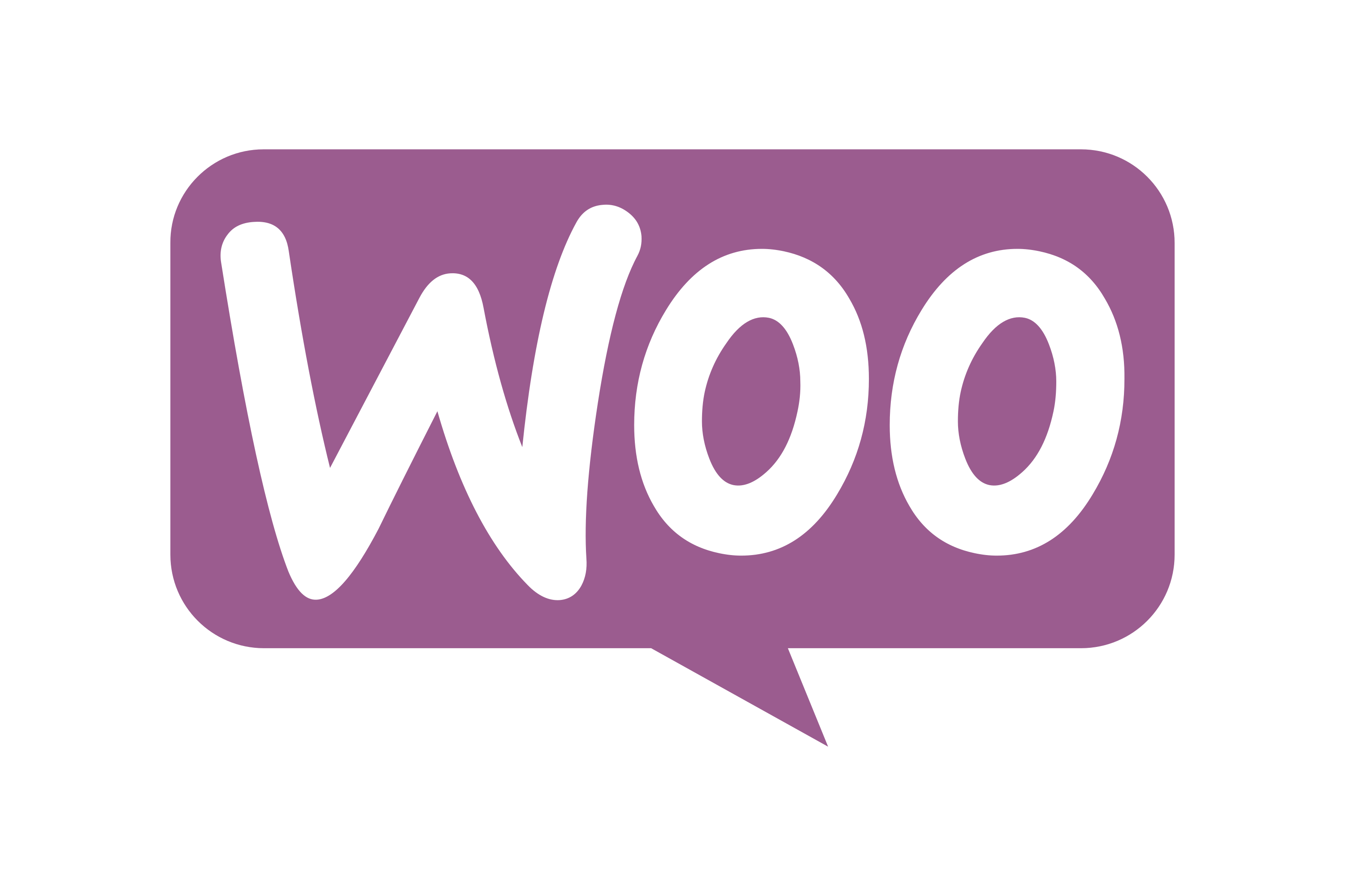 Icono WooCommerce